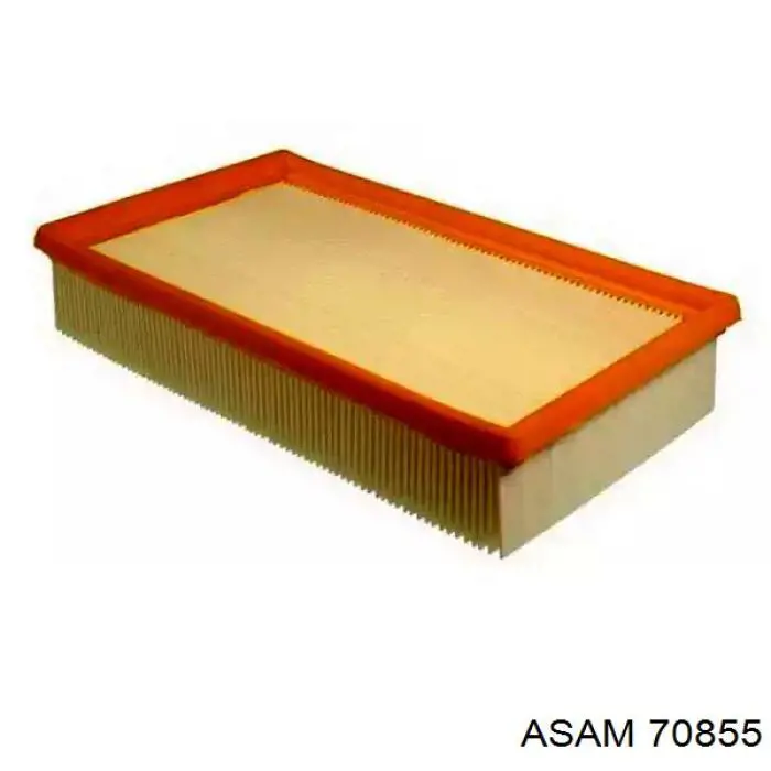 70855 Asam Filtro de ar