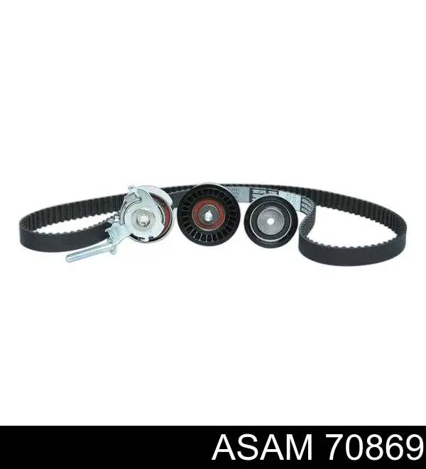 70869 Asam Amortecedor traseiro