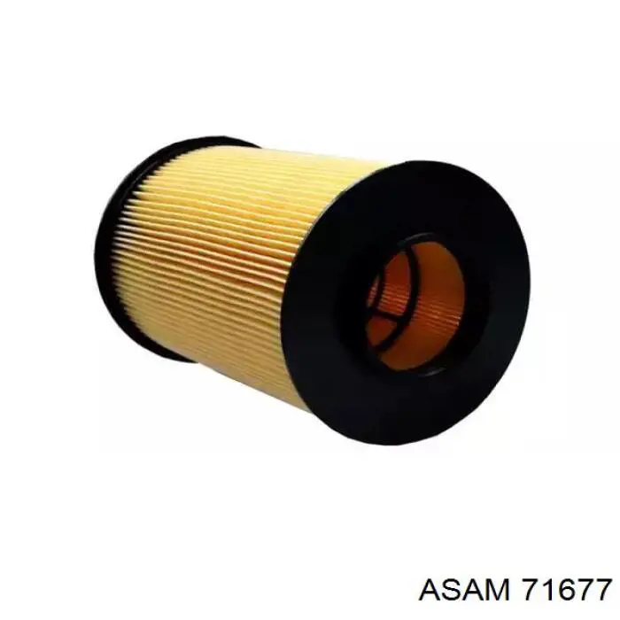 71677 Asam Filtro de ar