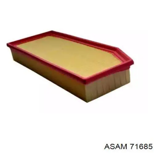 71685 Asam Filtro de ar