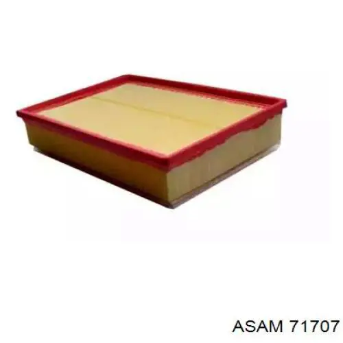 71707 Asam Filtro de ar