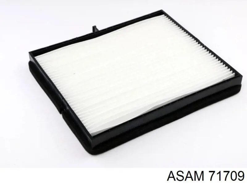 Compre 71709 Asam Filtro de salão