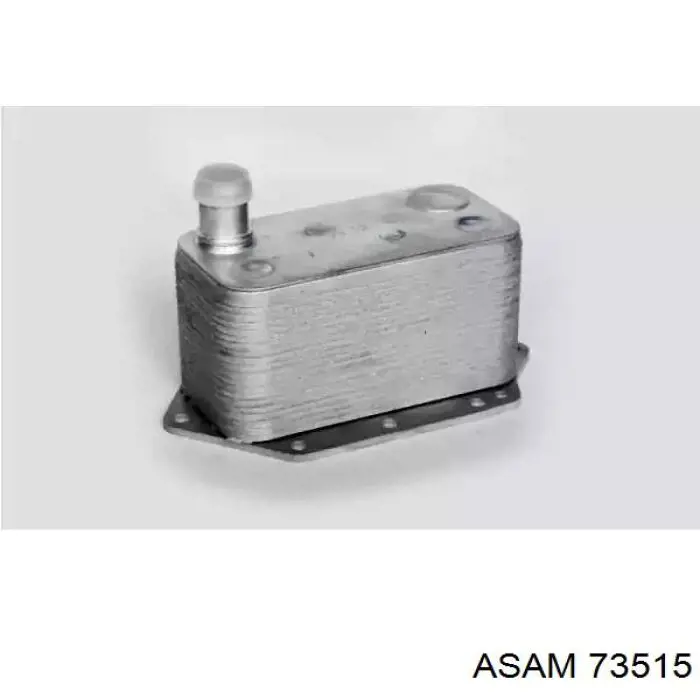 Compre 73515 Asam Radiador de óleo