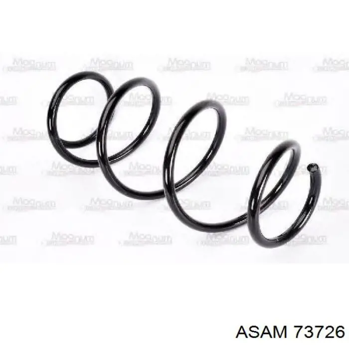 73726 Asam Mola dianteira