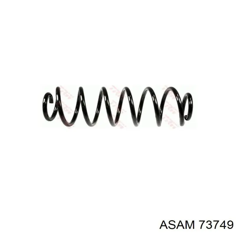 Compre 73749 Asam Mola traseira