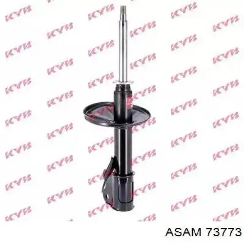 73773 Asam Mola traseira