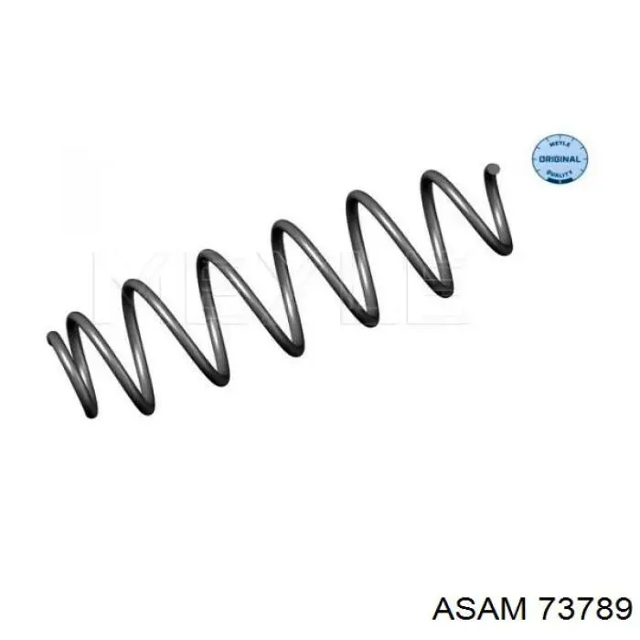Compre 73789 Asam Mola traseira