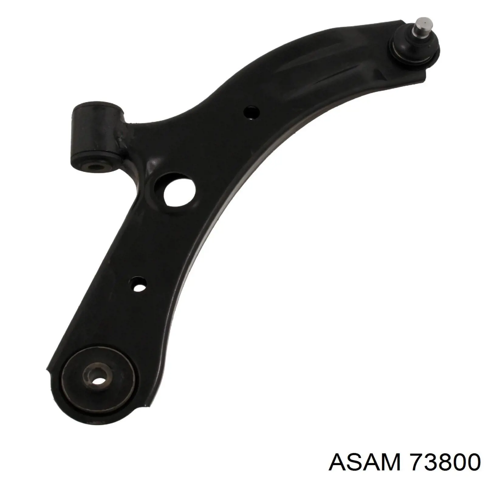 73800 Asam Mola dianteira