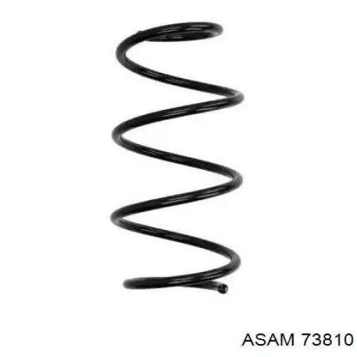 Compre 73810 Asam Mola dianteira