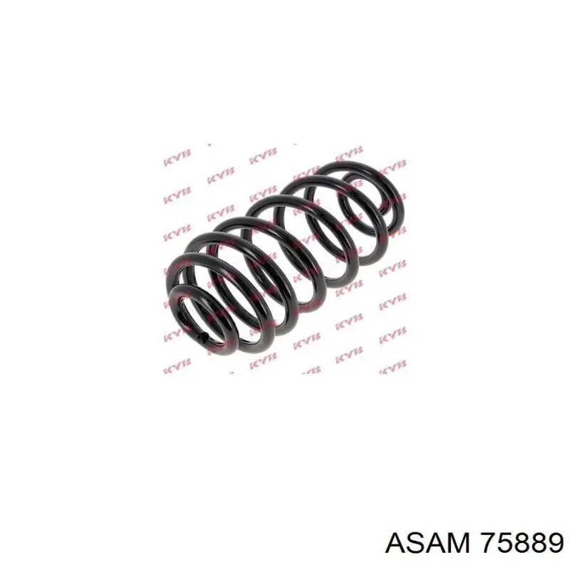 Compre 75889 Asam Mola traseira