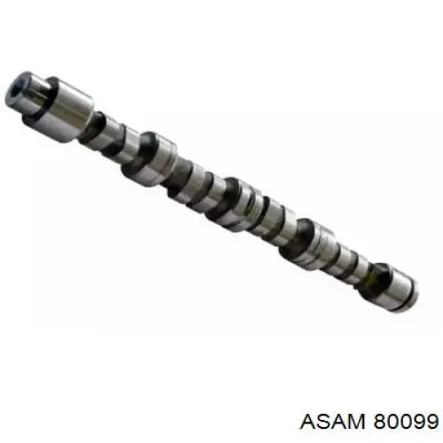 6001547428 Renault (RVI) Árvore distribuidora de motor