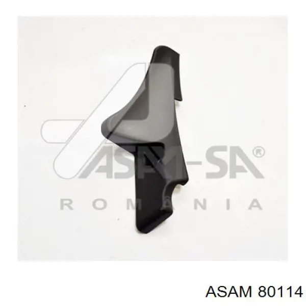 668220006R Renault (RVI) Placa sobreposta externa dianteira esquerda de suporte de carroçaria