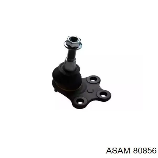 80856 Asam Suporte de esfera inferior
