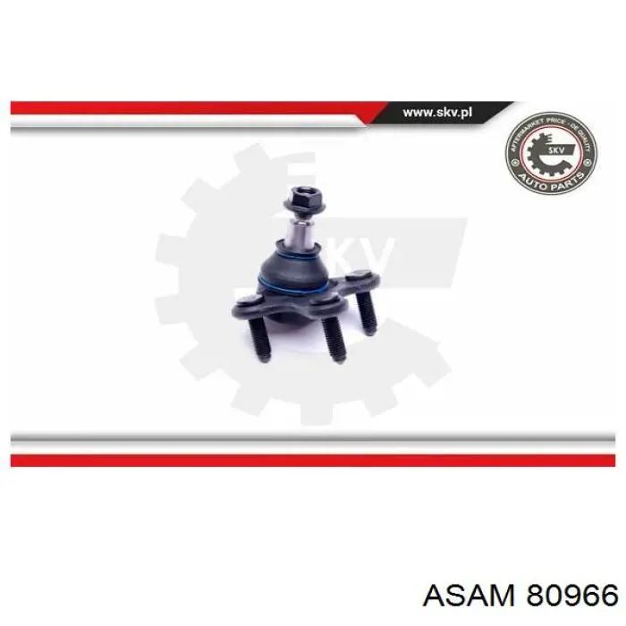 Suporte de esfera inferior direito Asam 80966 preço, a partir de 19,54 USD