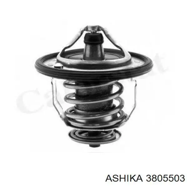 Compre WV75M82A Tama Termostato