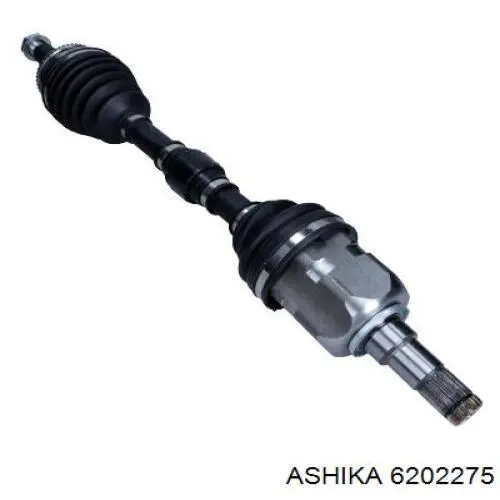  Magneti Marelli TDS0268
