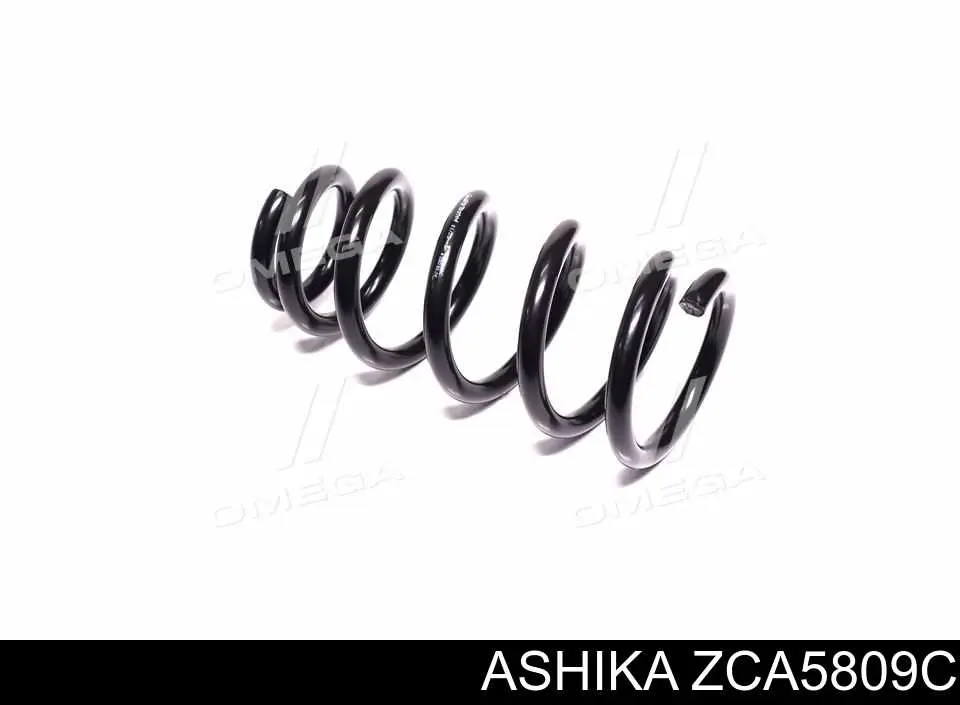 Compre ZCA5809C Ashika Mola traseira