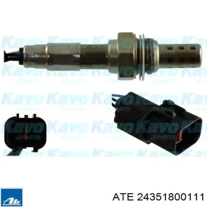 Compre 24351800111 ATE Tubo de ligação de bombeio de suporte do freio dianteiro