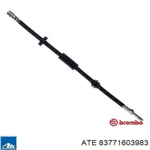 Compre 83771603983 ATE Mangueira do freio dianteira