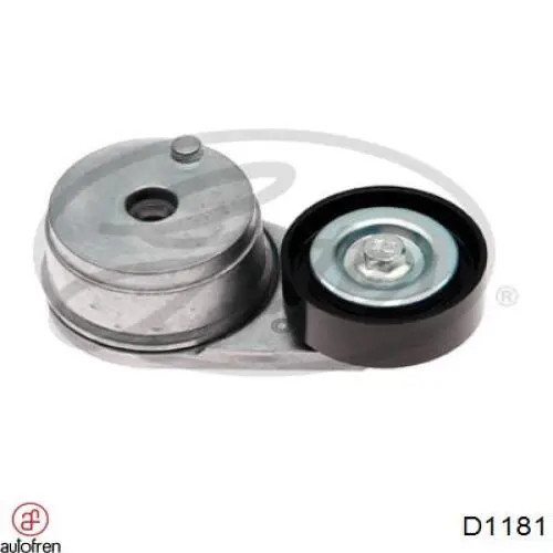Compre D1181 Autofren Kit de reparação de cilindro mestre do freio