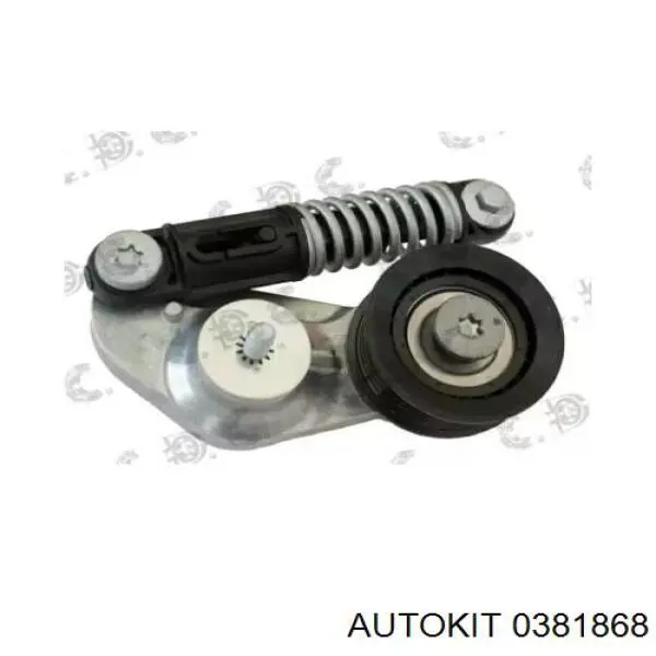 5109377 Ford Reguladora de tensão da correia de transmissão
