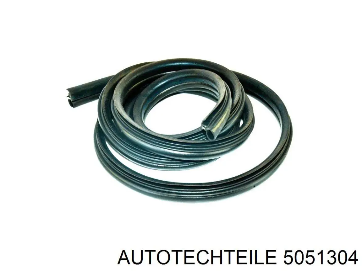 Compre 5051304 Autotechteile Vedação da porta lateral (deslizante)