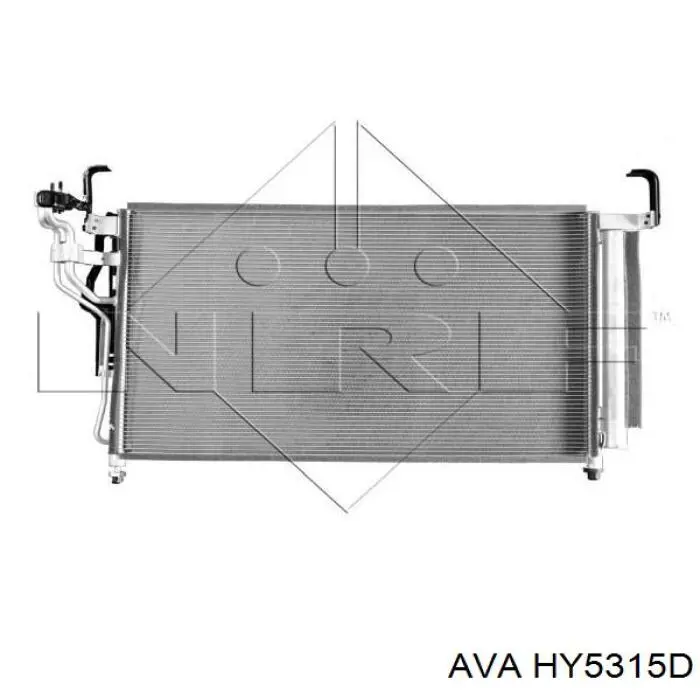  Hyundai/Kia 976064H100