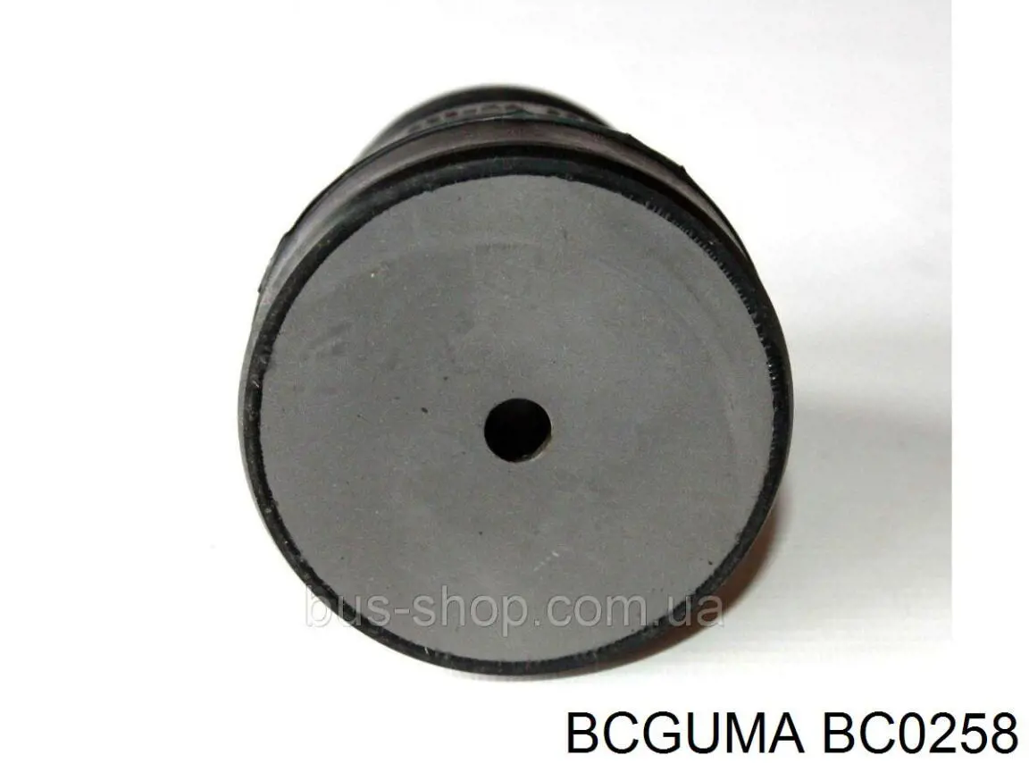 BC0258 Bcguma Grade de proteção da suspensão de lâminas traseira