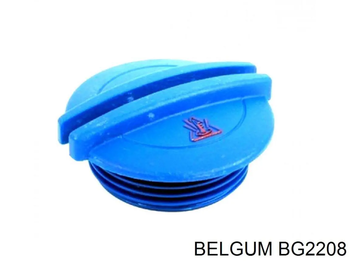 BG2208 Belgum Coxim (suporte) inferior de motor