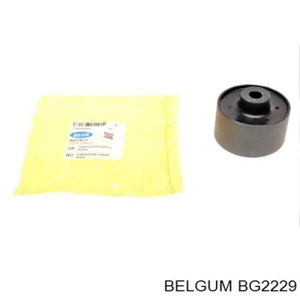 BG2229 Belgum Bucha de estabilizador dianteiro