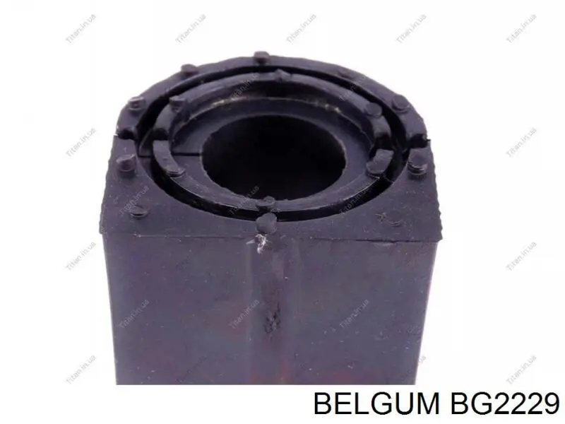 BG2229 Belgum Bucha de estabilizador dianteiro