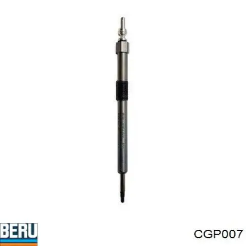  Beru CGP007