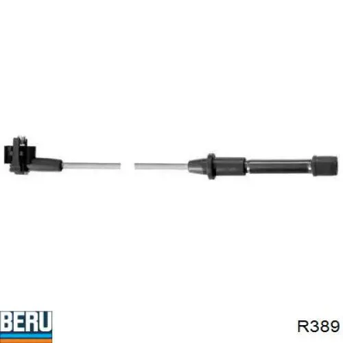 R389 Beru 