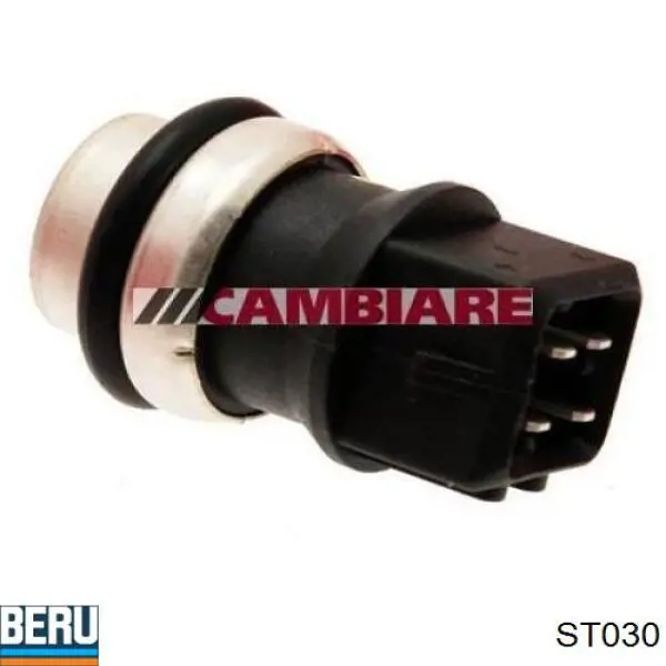 Sensor de temperatura do fluido de esfriamento ST030 Beru
