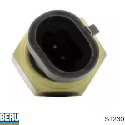 Sensor de temperatura do fluido de esfriamento ST230 Beru