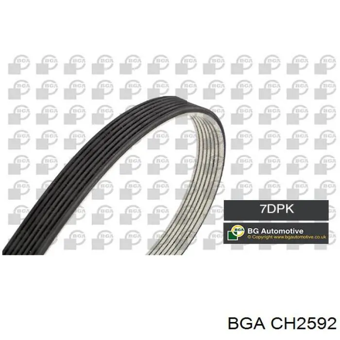 Compre CH2592 BGA Vedante esquerdo de cabeça de motor (CBC)