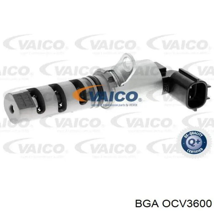 Compre OCV3600 BGA Válvula eletromagnética direita de posição (de fases) da árvore distribuidora