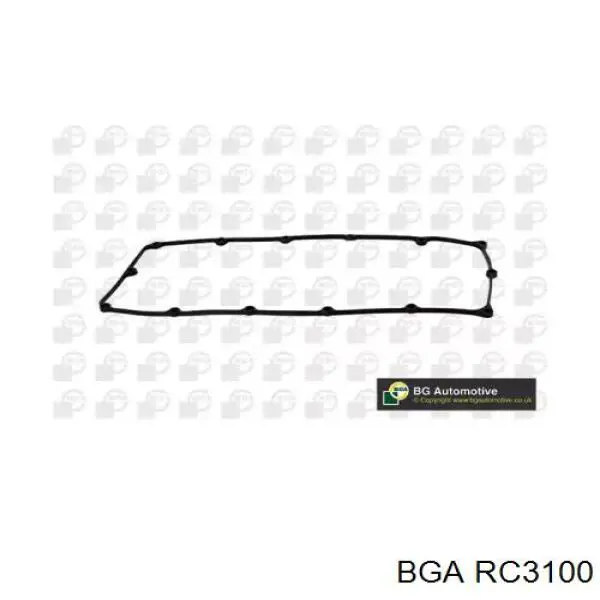 RC3100 BGA 