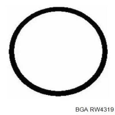 RW4319 BGA Vedante de tubo coletor de admissão