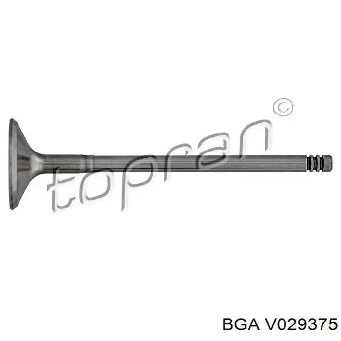 Válvula de admissão V029375 BGA