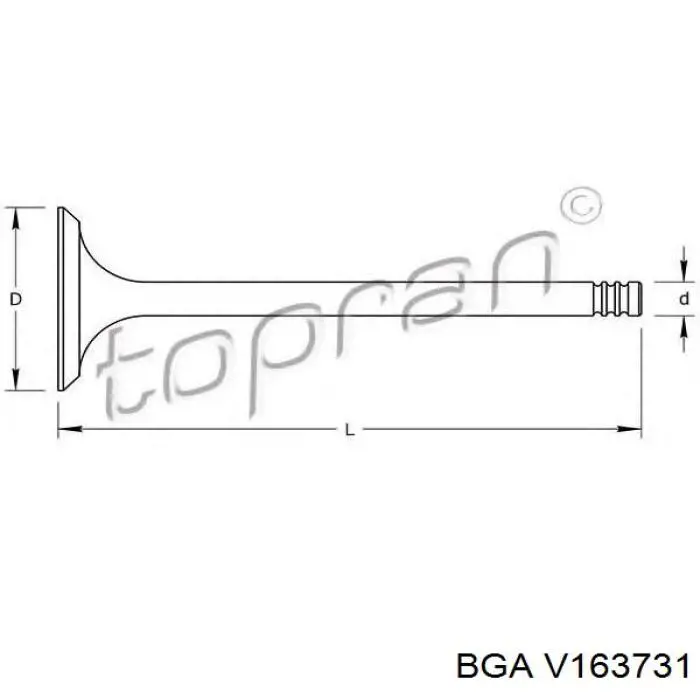 Válvula de escape V163731 BGA