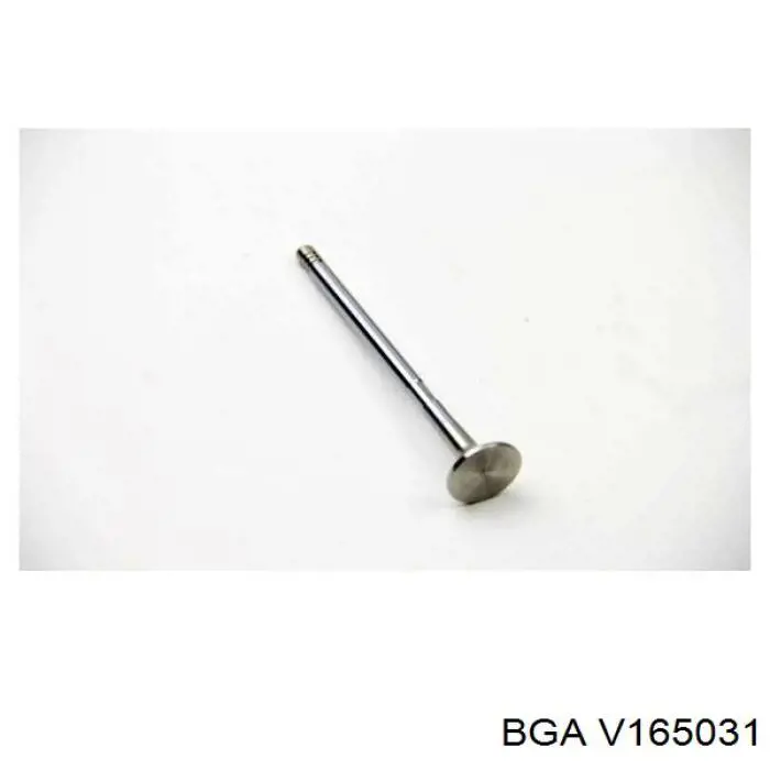 Compre 554005B Corteco Válvula de escape