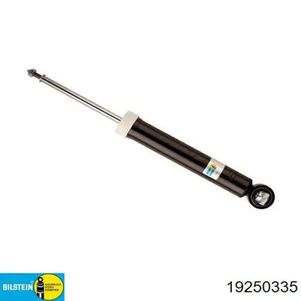 Amortecedor traseiro RS319546 Raiso