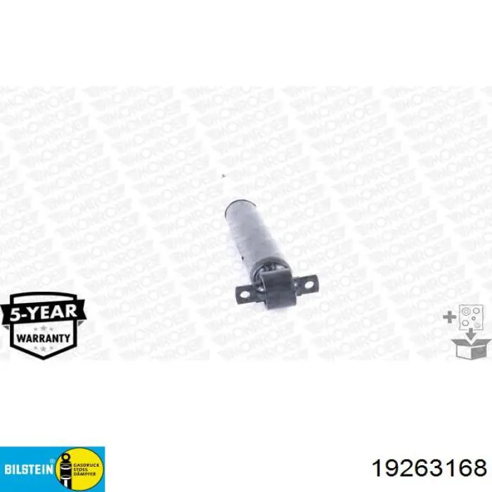 RS319546 Raiso Amortecedor traseiro