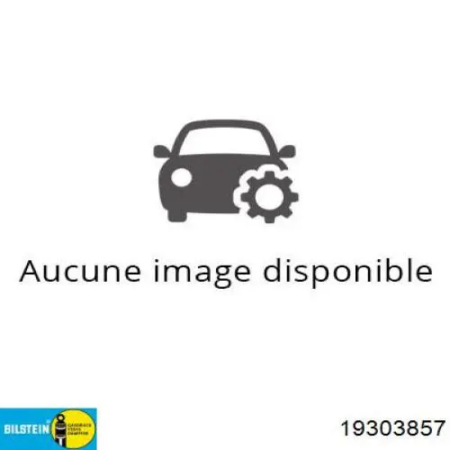 9816509880 Peugeot/Citroen Amortecedor traseiro