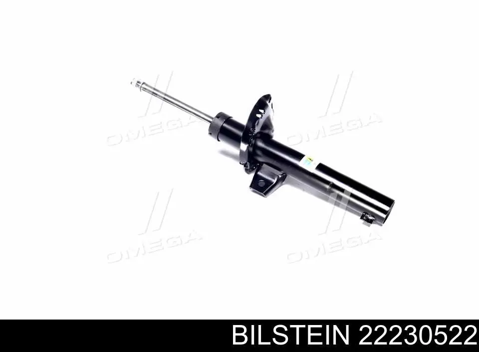 Compre RS315910 Raiso Amortecedor dianteiro