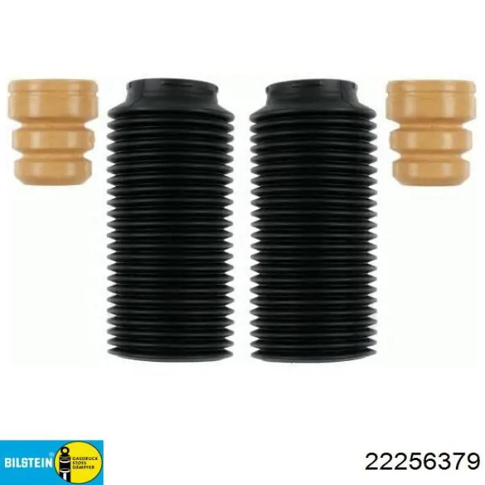 Amortecedor dianteiro direito Raiso RS256379