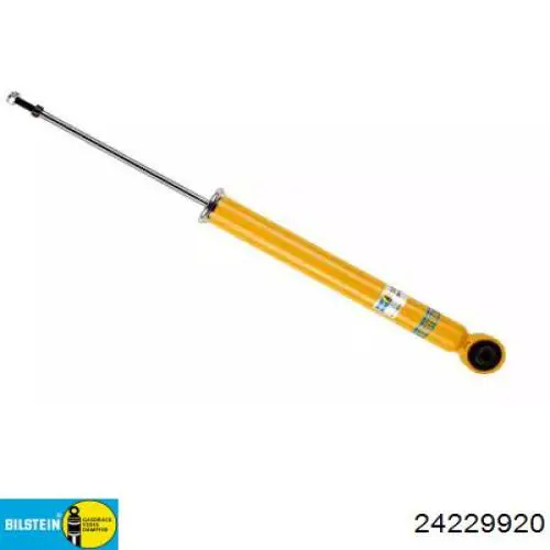 24229920 Bilstein 