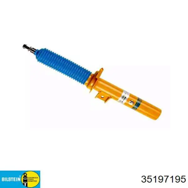 RS314879 Raiso Amortecedor dianteiro direito