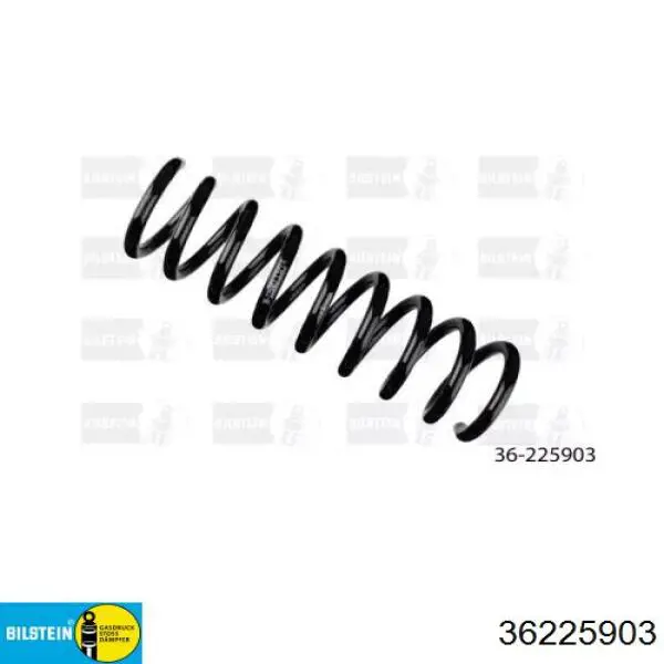 36225903 Bilstein Mola dianteira